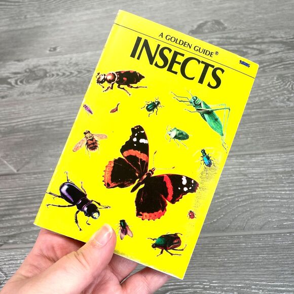 Vintage 1950s Golden Guide Insects Nature Book Detailed Realistic Illustrations - Picture 1 of 10